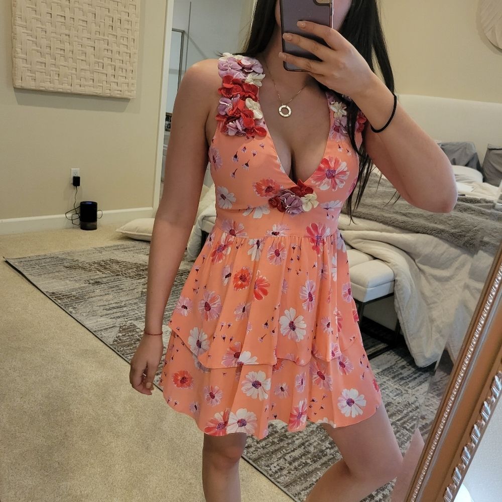LoveShackFancy mini dress
